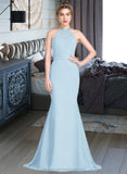 Sophie Trumpet/Mermaid Scoop Neck Sweep Train Chiffon Tulle Bridesmaid Dress With Ruffle STIP0013194