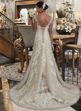 Esperanza A-Line V-neck Court Train Tulle Lace Wedding Dress With Beading Sequins STIP0013709