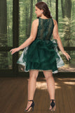 Arabella Ball-Gown/Princess Scoop Short/Mini Lace Tulle Homecoming Dress With Sequins STIP0020537