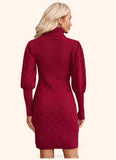 Virginia High Neck Elegant Bodycon Cotton Blends Mini Dresses STIP0022559