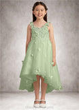 Jazmyn Ball-Gown Lace Tulle Asymmetrical Dress Dusty Sage STIP0022802