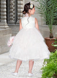 Amiah Ball-Gown Embroidered Tulle Knee-Length Dress Diamond White STIP0022808