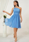 A-line One-Shoulder Sleeveless Chiffon Knee-Length Bridesmaid Dresses With Pleated Daphne STIP0025612