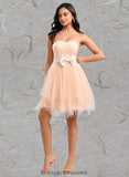 Paola Ball-Gown/Princess Sweetheart Short Tulle Homecoming Dress With Bow STIP0025719