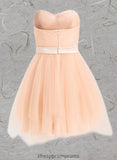 Paola Ball-Gown/Princess Sweetheart Short Tulle Homecoming Dress With Bow STIP0025719