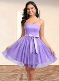 Barbara Ball-Gown/Princess Straight Short Tulle Homecoming Dress With Bow STIP0025717