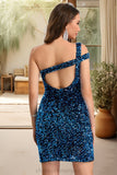 Miley Sheath/Column One Shoulder Short/Mini Sequin Homecoming Dress With Sequins STIP0020487