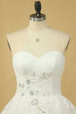 2024 Plus Size Wedding Dresses A-Line Sweetheart Court Train Tulle Applique Covered P1DLTMP1