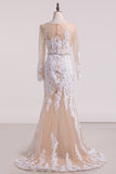 2024 Wedding Dresses Bateau Mermaid/Trumpet Tulle With STIPBLDXH19