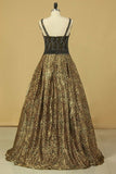 2024 Animal Print V Neck Beaded Bodice A Line Prom PZ5PDPLF