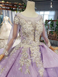 Stunning Long Sleeve Ball Gown Appliques Beading Quinceanera Dresses