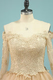 2024 Wedding Dresses V Neck Long Sleeves Tulle With Applique P7G5NF6N