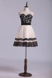 2024 New Arrival Dresses Sweetheart A Line Mini Bicolor PJL8F42X