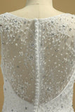 2024 New Arrival Wedding Dress Scoop Mermaid Tulle PEJNDPJ3