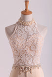 2024 High Neck Prom Dresses Sheath Lace & Spandex Sweep PC7ZB72X