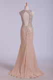 2024 Scoop Prom Dresses Sheath/Column With Beads Chiffon PGRQHFP6