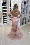 2024 Mermaid Prom Dresses Tulle With Appliques PMHM7JM5