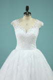 2024 Straps Wedding Dresses Ball Gown Tulle PP89DTPD