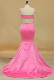 2024 Satin Mermaid Bateau Open Back Evening Dresses PKFQ32RT