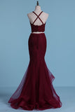 2024 Prom Dresses Spaghetti Straps Tulle & Lace With Applique PF5PE2R9