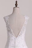 2024 New Style Scoop V Back Sexy Wedding Dress P6K4M3KX