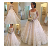 A-Line Lace Appliques V Neck Tulle Long Sleeve Ivory Covered Buttons Wedding Dresses