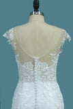 2024 Scoop Open Back Lace Wedding Dresses P18D6JXG