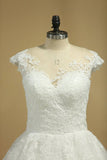 2024 Scoop Wedding Dresses Tulle With Applique Court PSB3KDG1