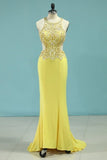 2024 Sexy Open Back Scoop Prom PTCLGJ3J