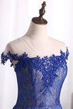 2024 Dark Royal Blue Evening Dress Scoop Cap Sleeves See-Through Lace With Applique PTX68JQ9