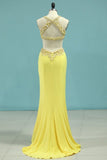 2024 Sexy Open Back Scoop Prom PTCLGJ3J