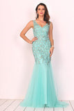 2024 New Arrival V Neck Tulle With Applique And Beads Mermaid P6NJ518B