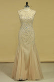 2024 Sleeveless Mermaid Prom Dresses Beaded With A Starburst Of Bugle Beads And Clear PMAM6PE5