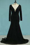 2024 New Arrival V Neck Long Sleeves Prom Dresses PL475EJ2