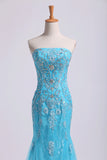 2024 Prom Dresses Strapless Mermaid PGNBJ8B3