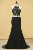 2024 Black Plus Size Prom Dresses Mermaid High Neck Open Back Tulle With Applique & PT9X5LZC