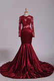 2024 Elastic Satin Scoop Long Sleeves Evening Dresses Mermaid With P3NXFZA9