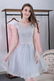 Elegant Light Gray Sleeveless Appliques Lace Short Homecoming Dresses