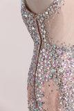 2024 Short/Mini High Neck Prom Dresses Tulle PQ6XHZQ8