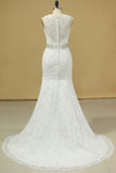 2024 Plus Size Scoop Wedding Dresses Chic Mermaid/Trumpet Chapel P7CAX28L