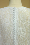 2024 Plus Size Long Sleeves Wedding Dresses Scoop A Line Tulle & Lace Sweep PYSHH12B