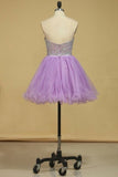 2024 A Line Sweetheart Homecoming Dresses Tulle With Rhinestone PT2D1J7X