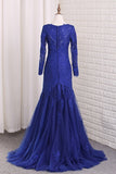 2024 Prom Dresses V Neck Long Sleeves Tulle PQRSCCHC