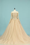 2024 Wedding Dresses V Neck Long Sleeves Tulle With Applique P7G5NF6N