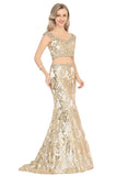 2024 Prom Dresses V Neck Mermaid PY9F1JH5