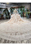 Ball Gown Wedding Dresses V Neck Long Sleeves Top Quality Appliques P87938N1