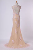 2024 Mesh Illusion Scoop Neckline Cap Sleeve Prom Dress With Beads And PMM57YL9