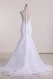 2024 Mermaid Scoop Tulle With Applique Court Train PZGN719T