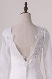 2024 Wedding Dresses Scoop Long Sleeves Open Back Lace P9MM1Y4C