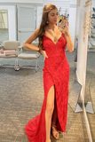 Spaghetti Straps V Neck Long Prom Dress Evening Dress